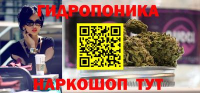 a pvp Дубна