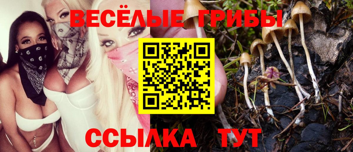Галлюциногенные грибы GOLDEN TEACHER Зима