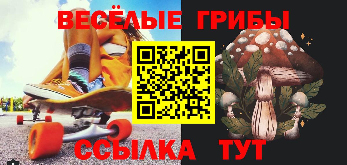 Галлюциногенные грибы прущие грибы  Вход с VPN  Зима 